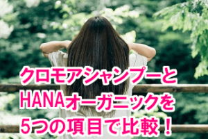 クロモアクリームシャンプーとHANAカラーコンディショナーを5つの項目で比較！